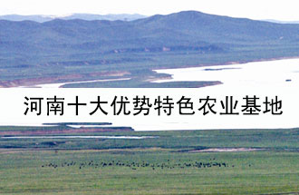 8月19日，河南省政府發(fā)布了關(guān)于深入推進(jìn)農(nóng)業(yè)供給側(cè)結(jié)構(gòu)性改革 大力發(fā)展優(yōu)勢(shì)特色農(nóng)業(yè)的意見