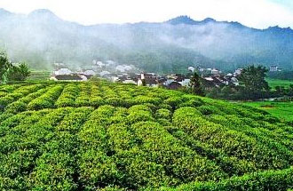 9月2日，財政部、稅務總局發(fā)布了關于繼續(xù)執(zhí)行邊銷茶增值稅政策的公告
