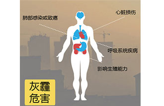 空氣中PM2.5 是由什么物質(zhì)組成的？