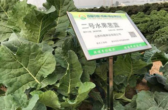 10月23日，中國（鄭州）種業(yè)博覽會將在河南省鄭州市中牟縣官渡鎮(zhèn)鄉(xiāng)謠農(nóng)場舉辦