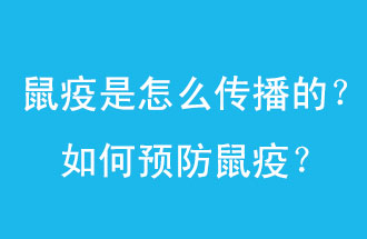 鼠疫是怎么傳播的？如何預(yù)防鼠疫？